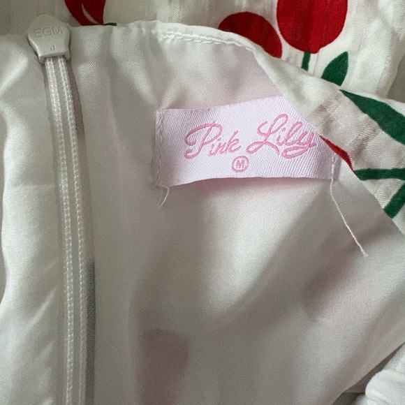 ONE DAY AT A TIME CHERRY PRINT MINI DRESS - Picture 12 of 12